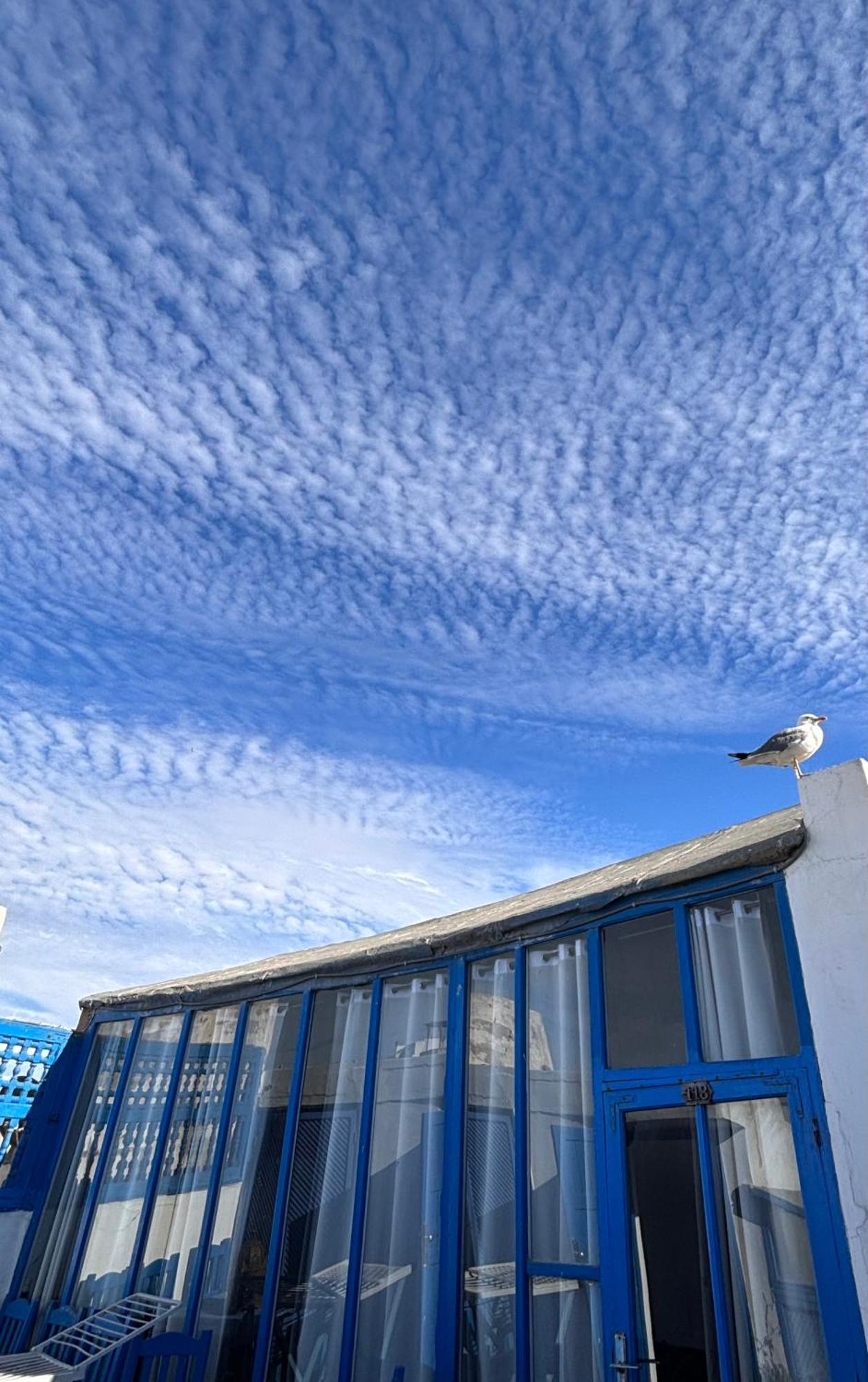 Wave Mogador Hotel Essaouira Luaran gambar